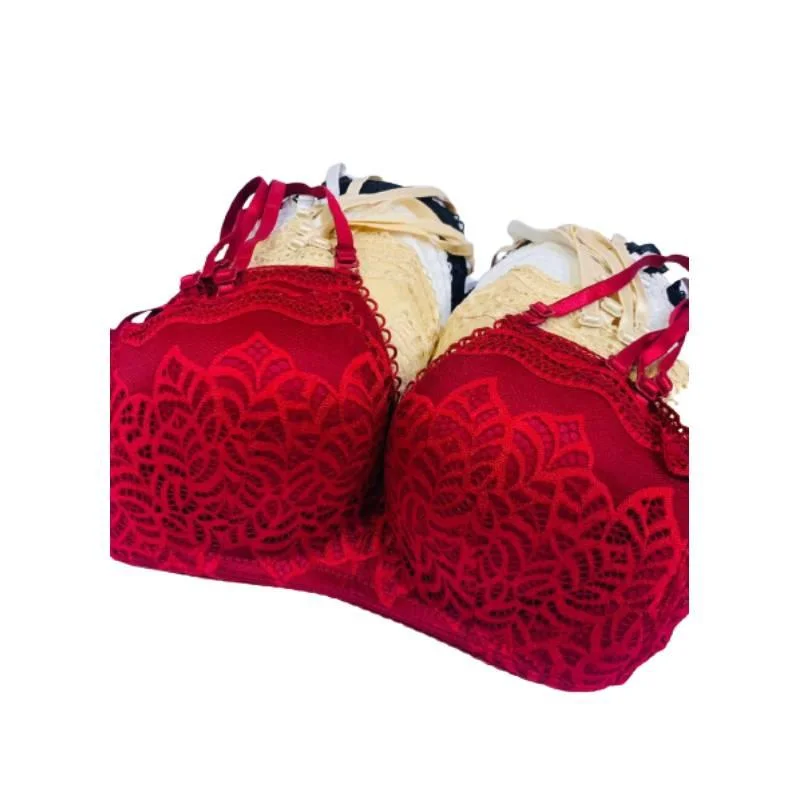 Embroidered Bralette Women Bra Online branded bras Fancy Bra for Ladies online bra shopping Strapless Support Bra
